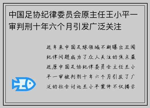 中国足协纪律委员会原主任王小平一审判刑十年六个月引发广泛关注