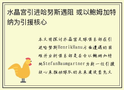 水晶宫引进哈努斯遇阻 或以鲍姆加特纳为引援核心